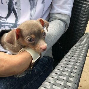 Meet your Posher, Anna